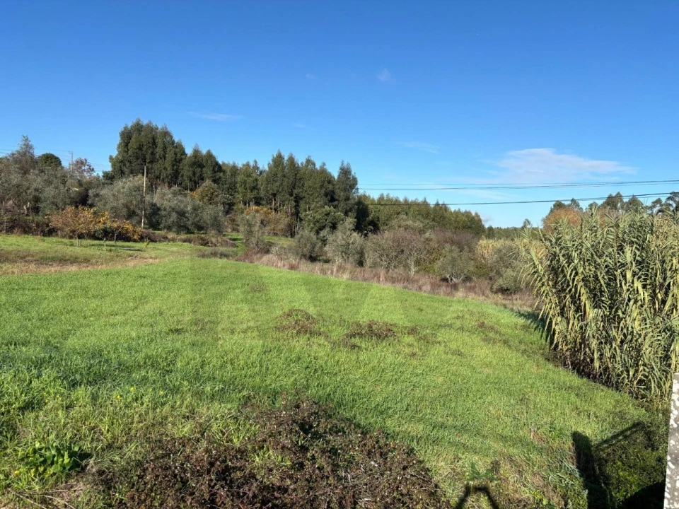 Terreno para Venda em Olalhas Foto 2