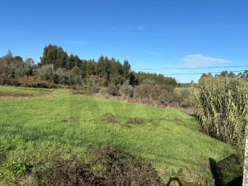 Terreno para Venda em Olalhas