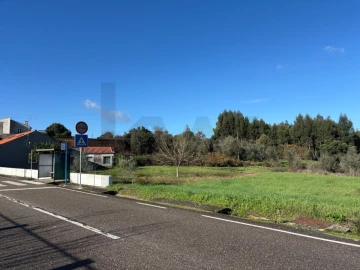 Terreno para Venda em Olalhas