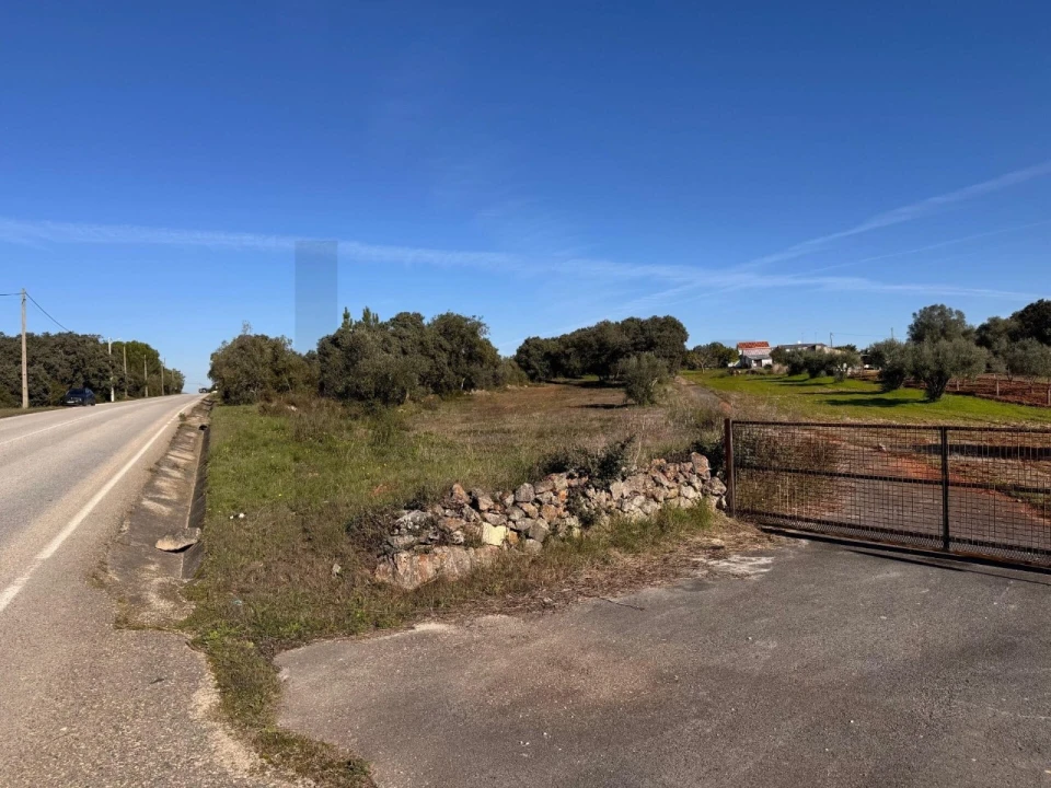Terreno para Venda em Brogueira, Parceiros de Igreja e Alcorochel Foto 5