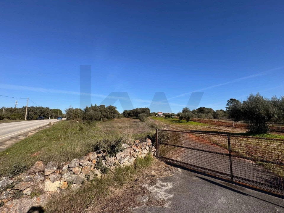 Terreno para Venda em Brogueira, Parceiros de Igreja e Alcorochel Foto 7