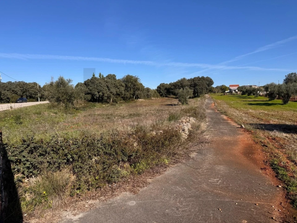 Terreno para Venda em Brogueira, Parceiros de Igreja e Alcorochel Foto 2