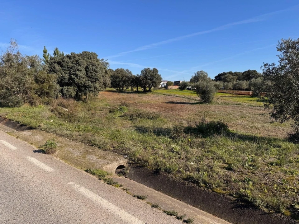 Terreno para Venda em Brogueira, Parceiros de Igreja e Alcorochel Foto 3
