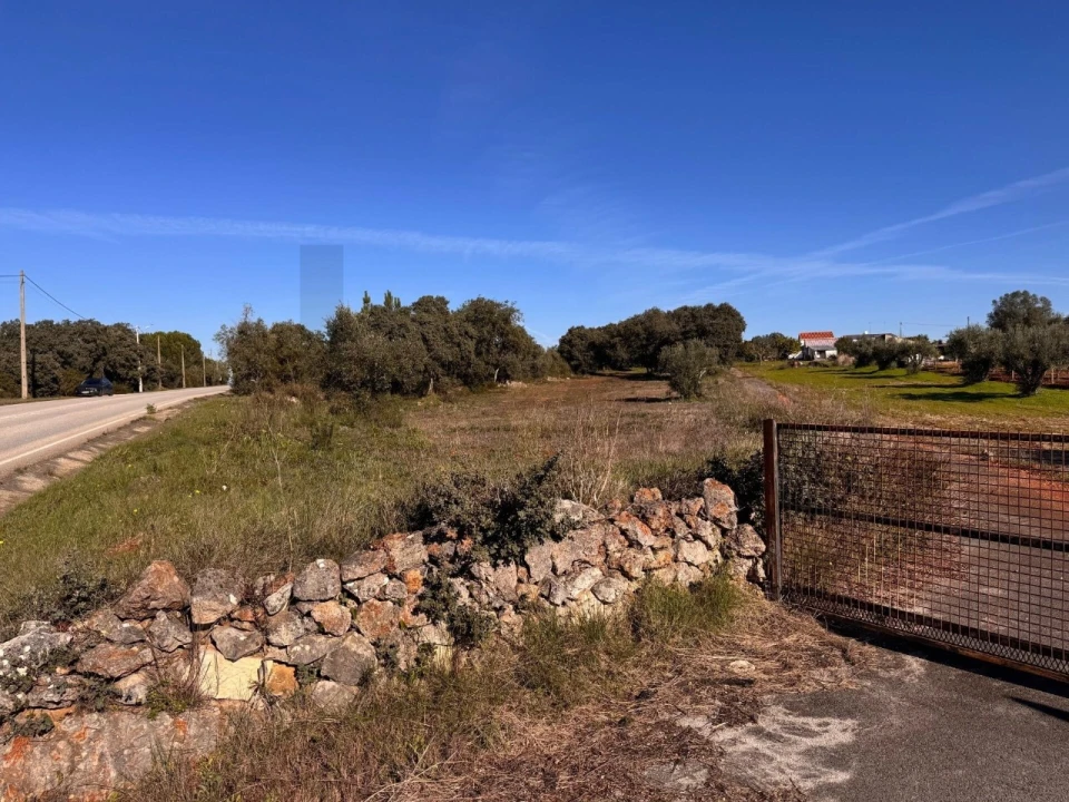 Terreno para Venda em Brogueira, Parceiros de Igreja e Alcorochel Foto 6