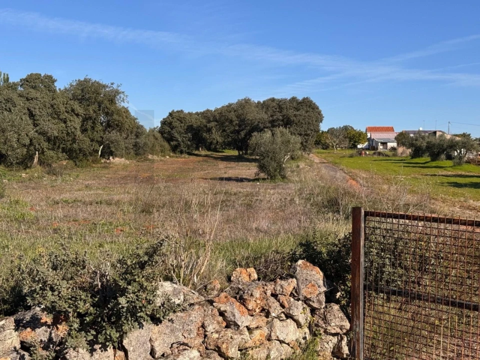 Terreno para Venda em Brogueira, Parceiros de Igreja e Alcorochel Foto 12