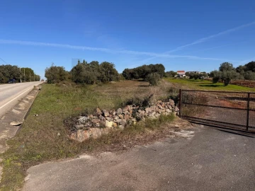 Terreno para Venda em Brogueira, Parceiros de Igreja e Alcorochel