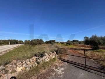 Terreno para Venda em Brogueira, Parceiros de Igreja e Alcorochel