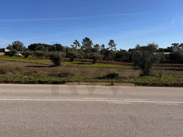 Terreno para Venda em Brogueira, Parceiros de Igreja e Alcorochel