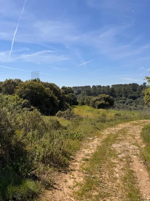 Terreno para Venda em Brogueira, Parceiros de Igreja e Alcorochel