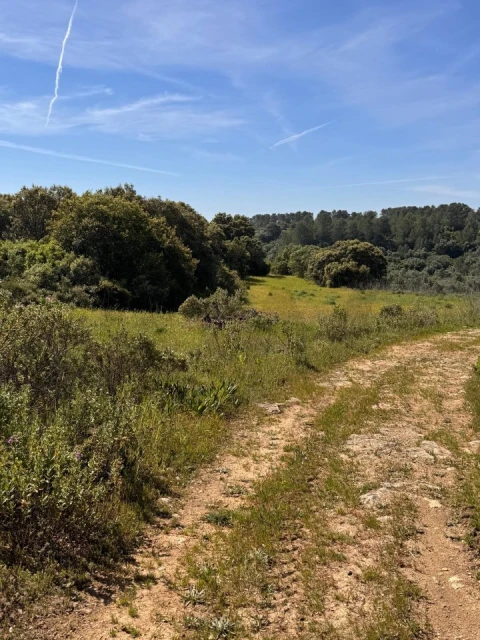 Terreno para Venda em Brogueira, Parceiros de Igreja e Alcorochel
