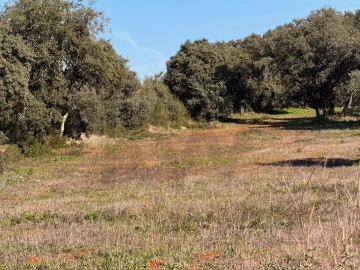 Terreno para Venda em Brogueira, Parceiros de Igreja e Alcorochel
