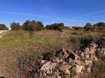 Terreno para Venda em Brogueira, Parceiros de Igreja e Alcorochel