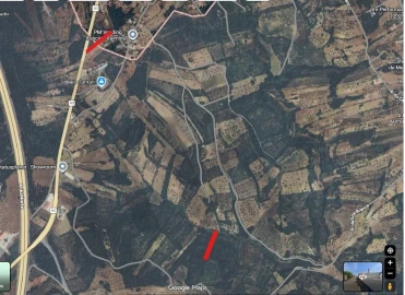 Terreno para Venda em Brogueira, Parceiros de Igreja e Alcorochel