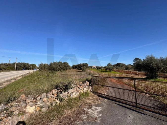 Terreno para Venda em Brogueira, Parceiros de Igreja e Alcorochel Foto 7