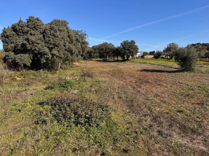 Terreno para Venda em Brogueira, Parceiros de Igreja e Alcorochel Foto 4
