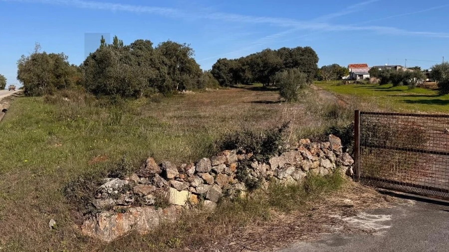 Terreno para Venda em Brogueira, Parceiros de Igreja e Alcorochel