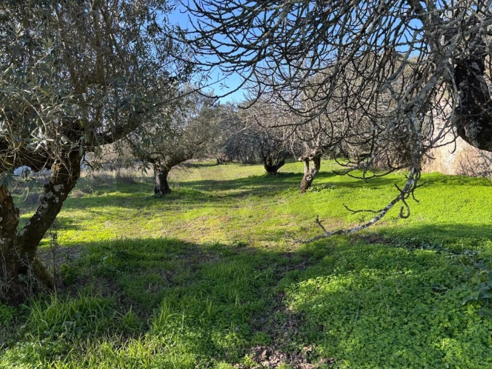 Moradia T2 para Venda em Brogueira, Parceiros de Igreja e Alcorochel Foto 12