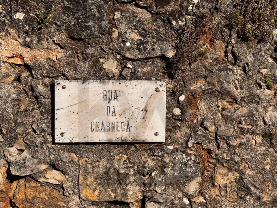 Moradia T2 para Venda em Brogueira, Parceiros de Igreja e Alcorochel Foto 15