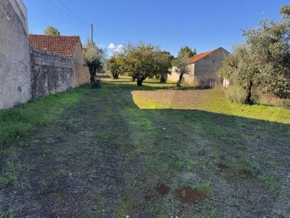 Moradia T2 para Venda em Brogueira, Parceiros de Igreja e Alcorochel Foto 9