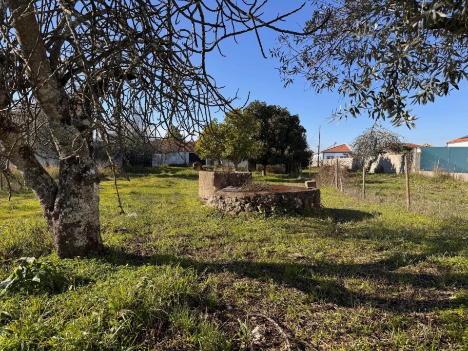 Moradia T2 para Venda em Brogueira, Parceiros de Igreja e Alcorochel Foto 13