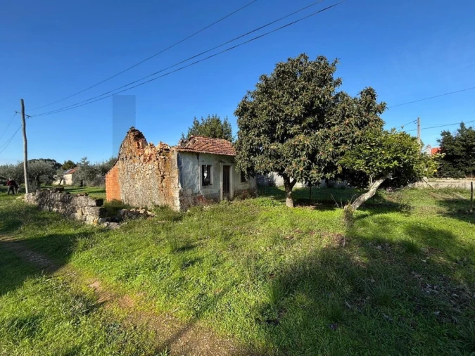 Moradia T2 para Venda em Brogueira, Parceiros de Igreja e Alcorochel Foto 4