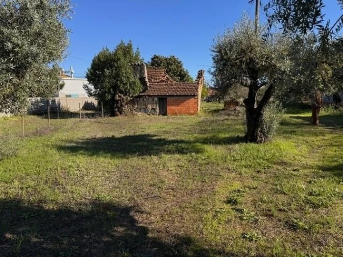 Moradia T2 para Venda em Brogueira, Parceiros de Igreja e Alcorochel Foto 6