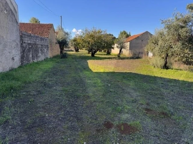 Moradia T2 para Venda em Brogueira, Parceiros de Igreja e Alcorochel Foto 7