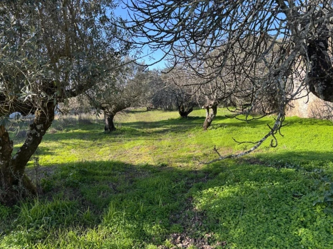 Moradia T2 para Venda em Brogueira, Parceiros de Igreja e Alcorochel Foto 12
