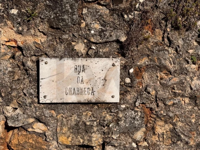 Moradia T2 para Venda em Brogueira, Parceiros de Igreja e Alcorochel Foto 15