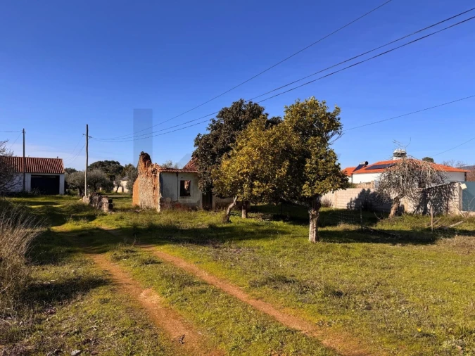 Moradia T2 para Venda em Brogueira, Parceiros de Igreja e Alcorochel Foto 2