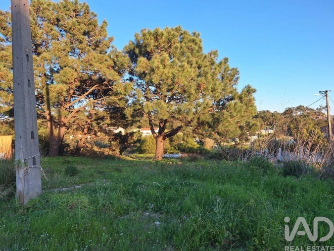 Terreno para Venda em Caparica e Trafaria Foto 9