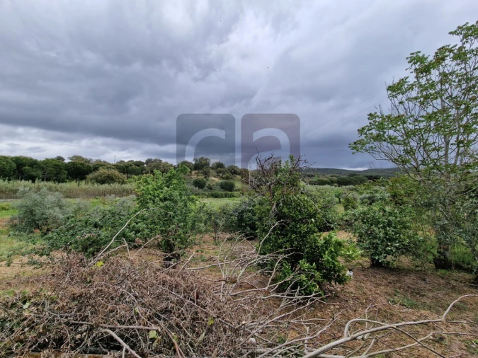 Moradia T2 para Venda em Vale de Cavalos Foto 27