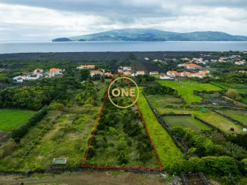 Terreno para Venda em Criação Velha