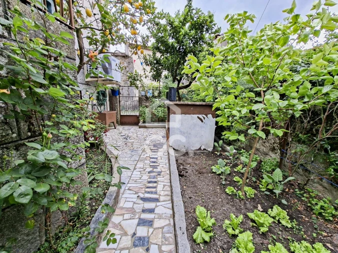 Moradia T3 para Venda em São Miguel de Vila Boa Foto 5