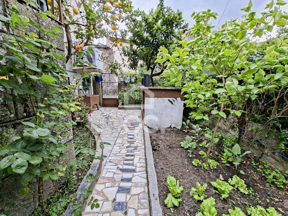 Moradia T3 para Venda em São Miguel de Vila Boa Foto 5