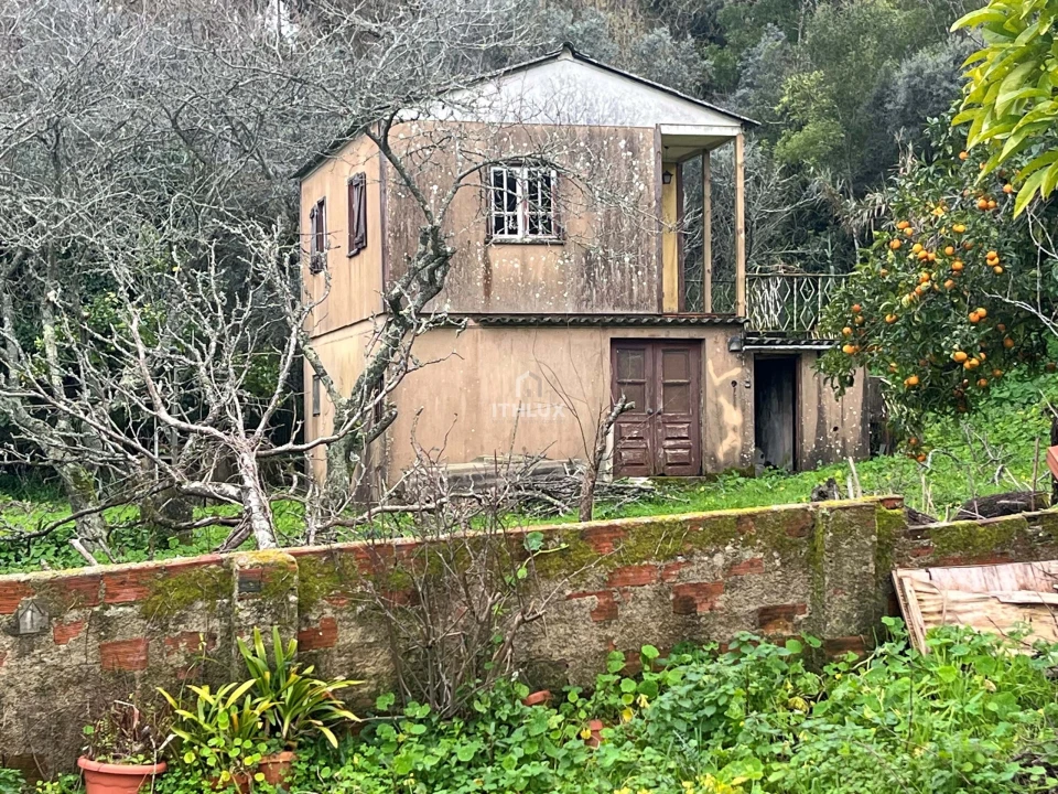 Quinta T10 para Venda em Agualva e Mira-Sintra Foto 6