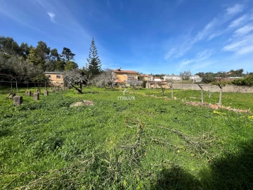 Quinta T10 para Venda em Agualva e Mira-Sintra