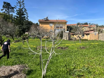 Quinta T10 para Venda em Agualva e Mira-Sintra