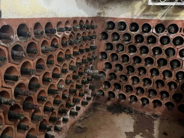 Quinta T10 para Venda em Agualva e Mira-Sintra