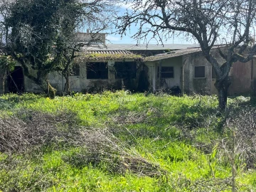 Quinta T10 para Venda em Agualva e Mira-Sintra