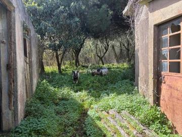 Quinta T10 para Venda em Agualva e Mira-Sintra