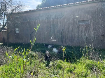 Quinta T10 para Venda em Agualva e Mira-Sintra