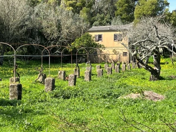 Quinta T10 para Venda em Agualva e Mira-Sintra