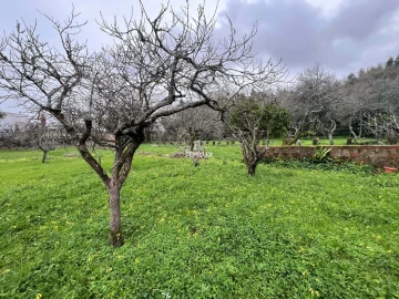 Quinta T10 para Venda em Agualva e Mira-Sintra