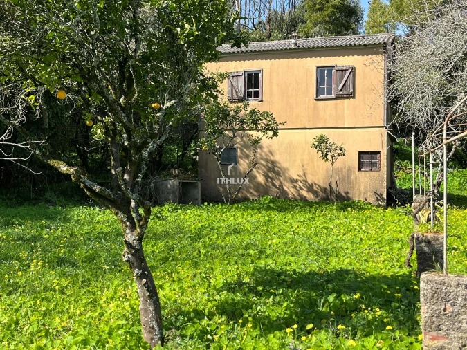 Quinta T10 para Venda em Agualva e Mira-Sintra Foto 20