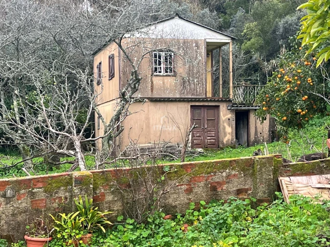 Quinta T10 para Venda em Agualva e Mira-Sintra Foto 6