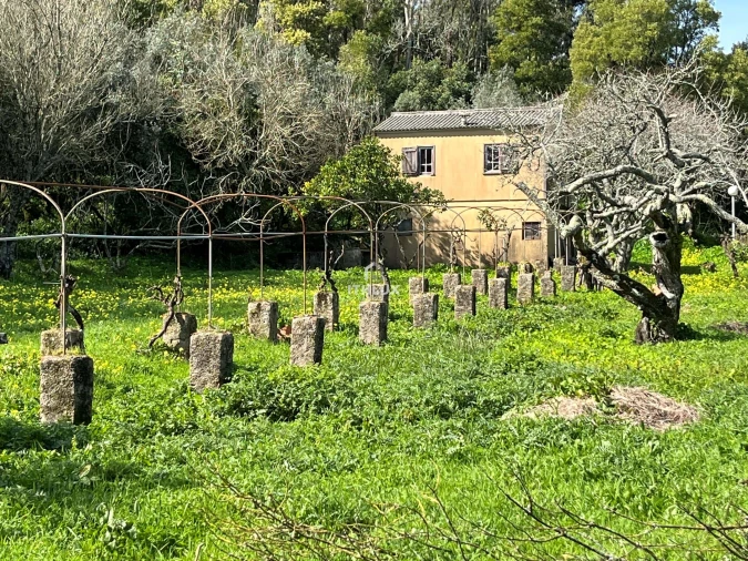 Quinta T10 para Venda em Agualva e Mira-Sintra Foto 21