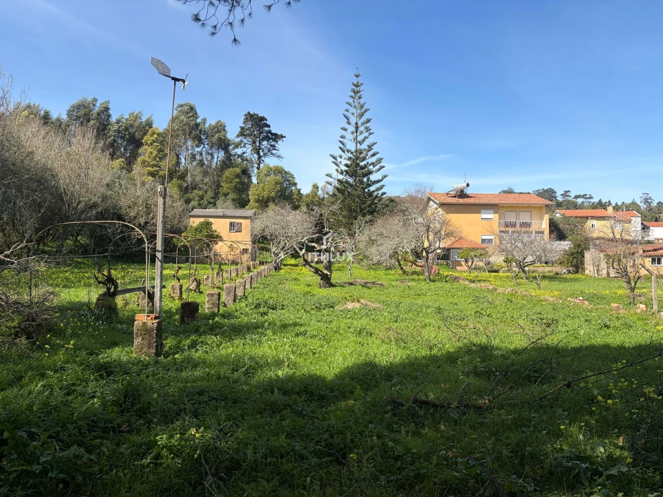 Quinta T10 para Venda em Agualva e Mira-Sintra Foto 13