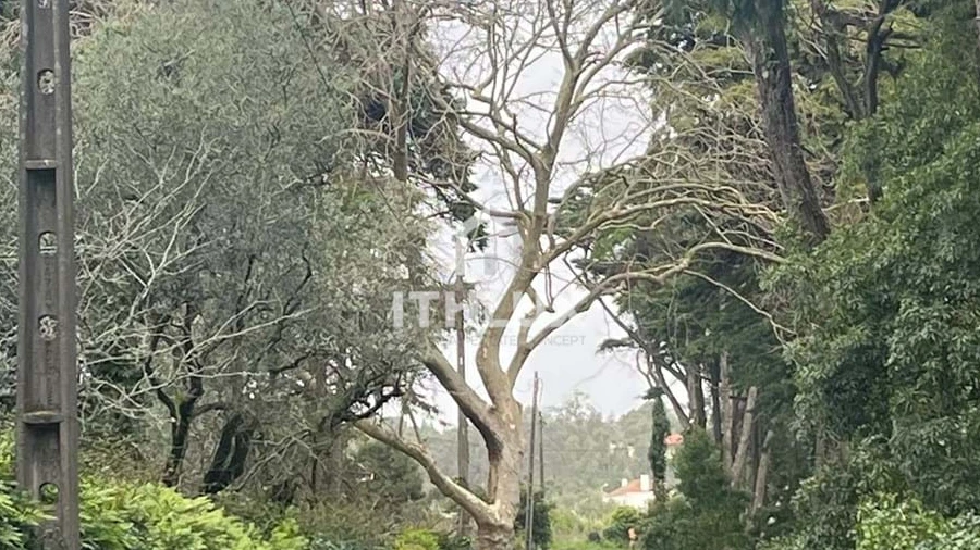 Quinta T10 para Venda em Agualva e Mira-Sintra