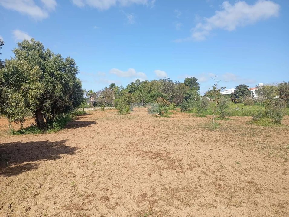 Quinta T1 para Venda em Lagos (São Sebastião e Santa Maria) Foto 29